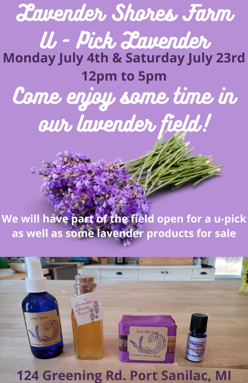Lavender Shores Farm UPick Port Sanilac