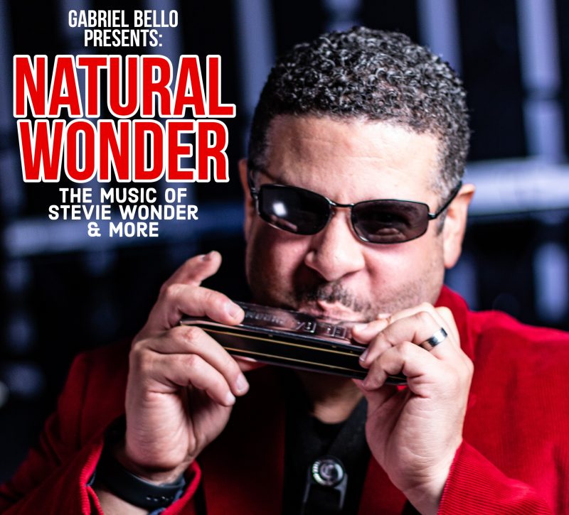 Natural Wonder The Ultimate Stevie Wonder Experience