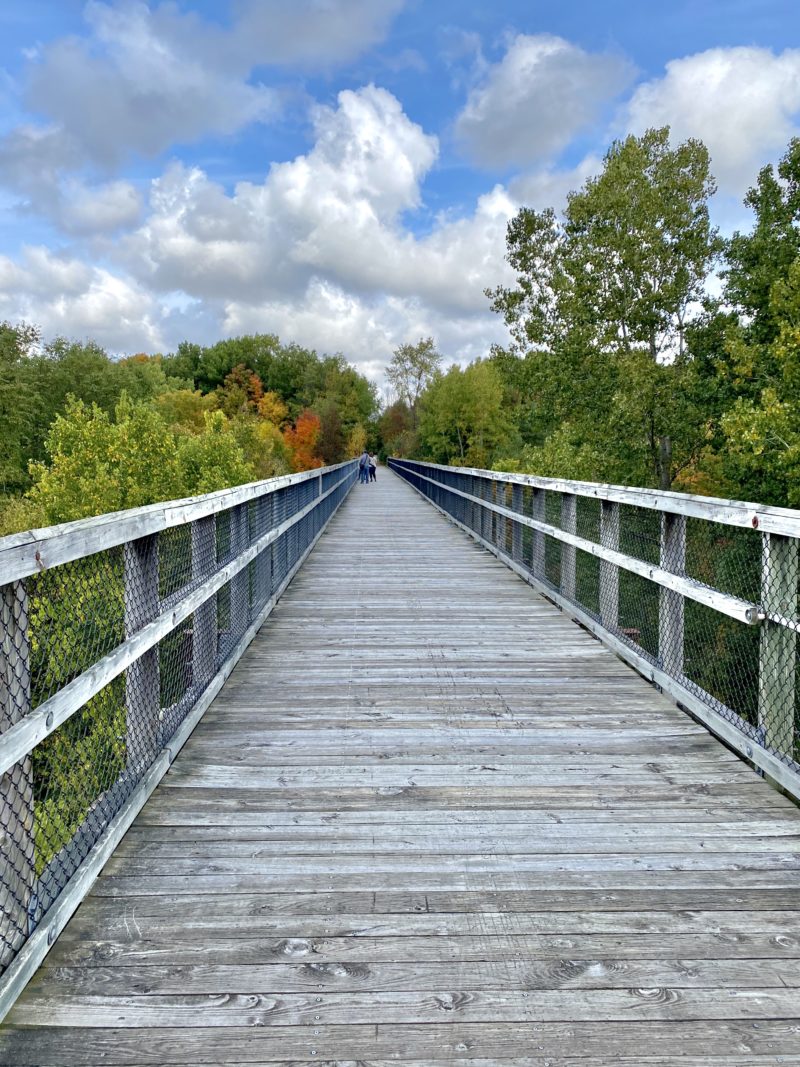 Wadhams to Avoca Trail